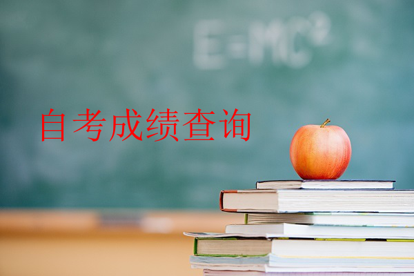 自考成绩查询
