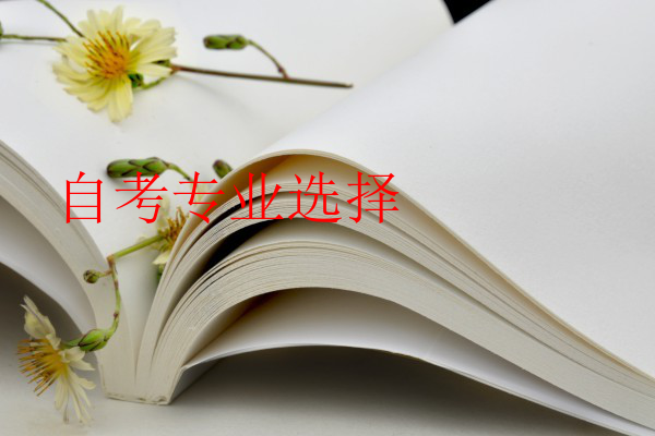 自考专业选择